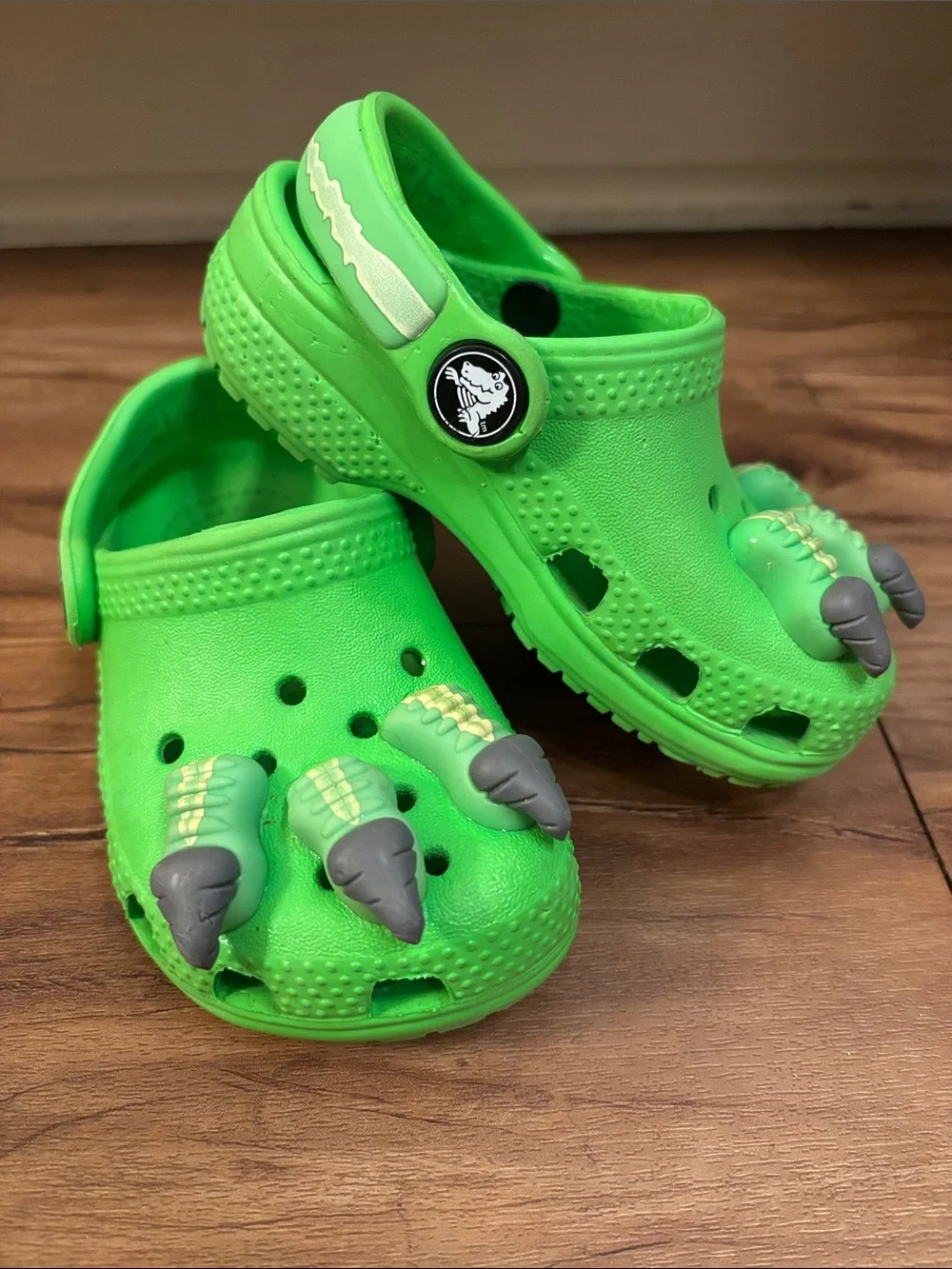 Dinosaur Claws Crocs Toddler Sz 6
